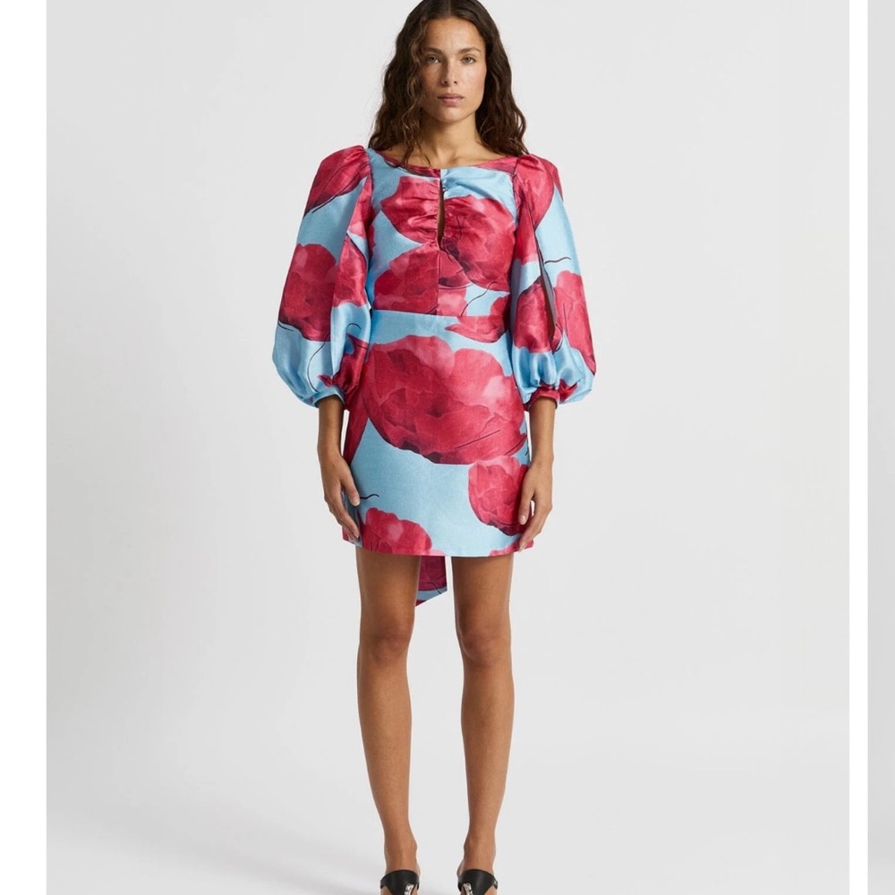 LAGAAM Liza fleur poppy dress (Floral Puff Sleeve Dress)